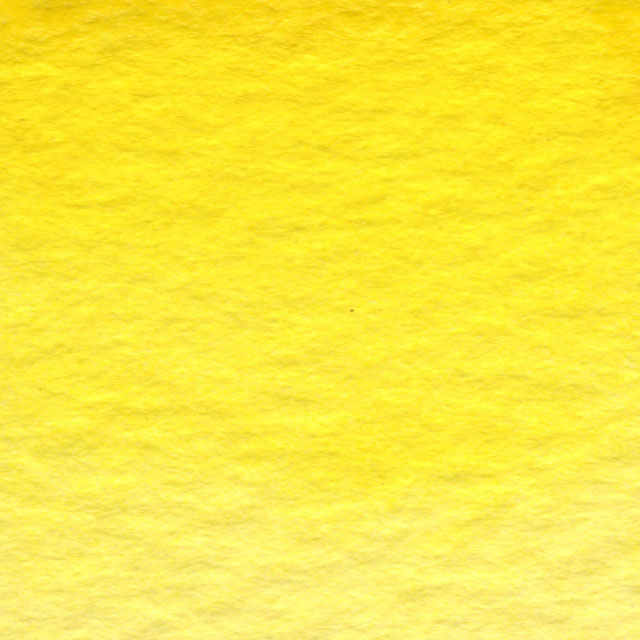 Bumblebee Yellow
