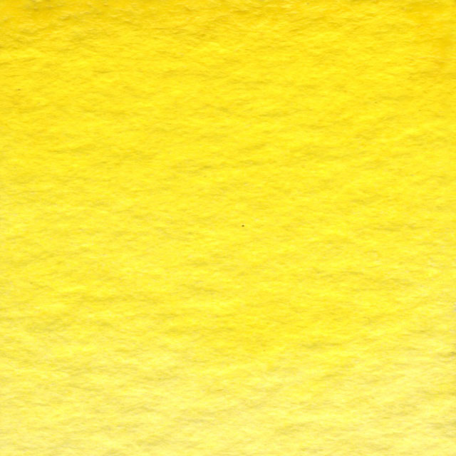 Bumblebee Yellow