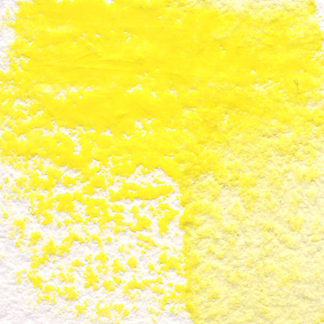 Bumblebee Yellow