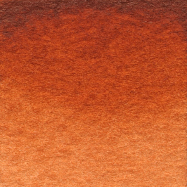 Color Swatch