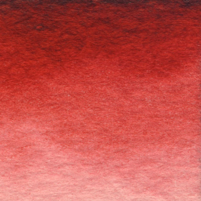 Rose Madder Quinacridone