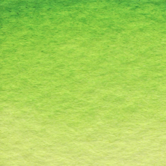 Skip's Green